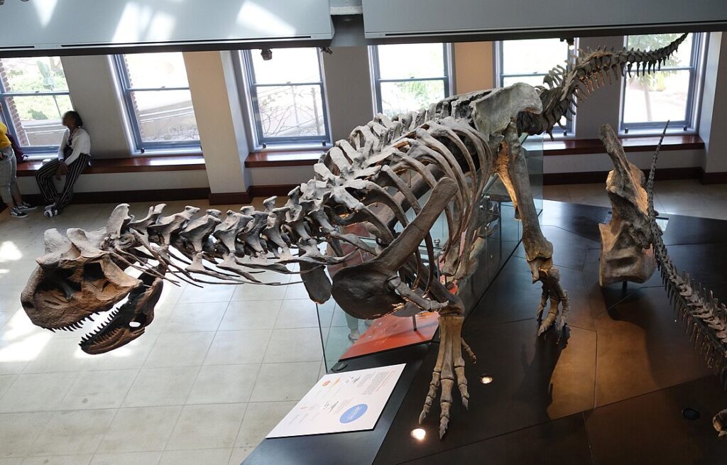 Esqueleto de Carnotaurus
