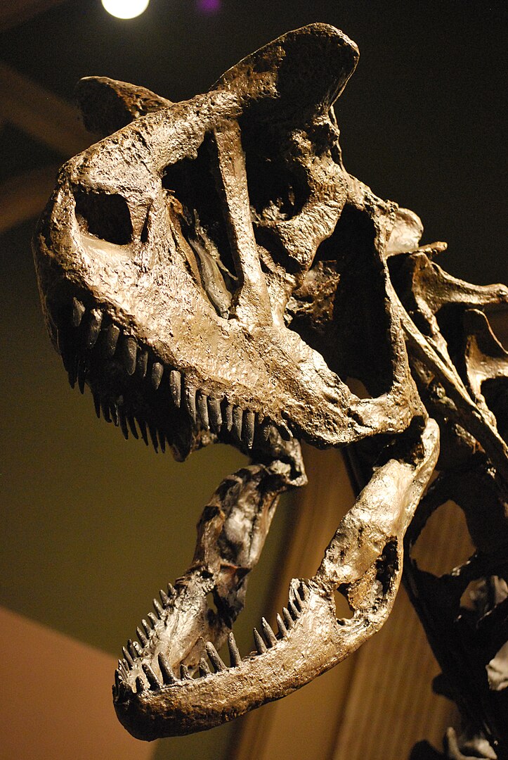 Carnotaurus: El rey de los depredadores del Cretácico tardío