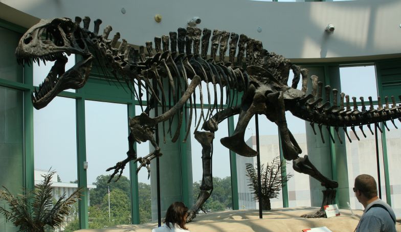 Esqueleto de Acrocanthosaurus