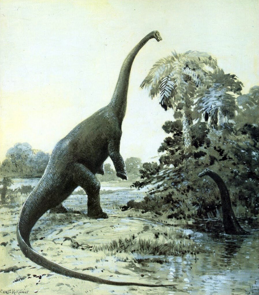 Un diplodocus se eleva sobre sus patas traseras para llegar a la comida.
