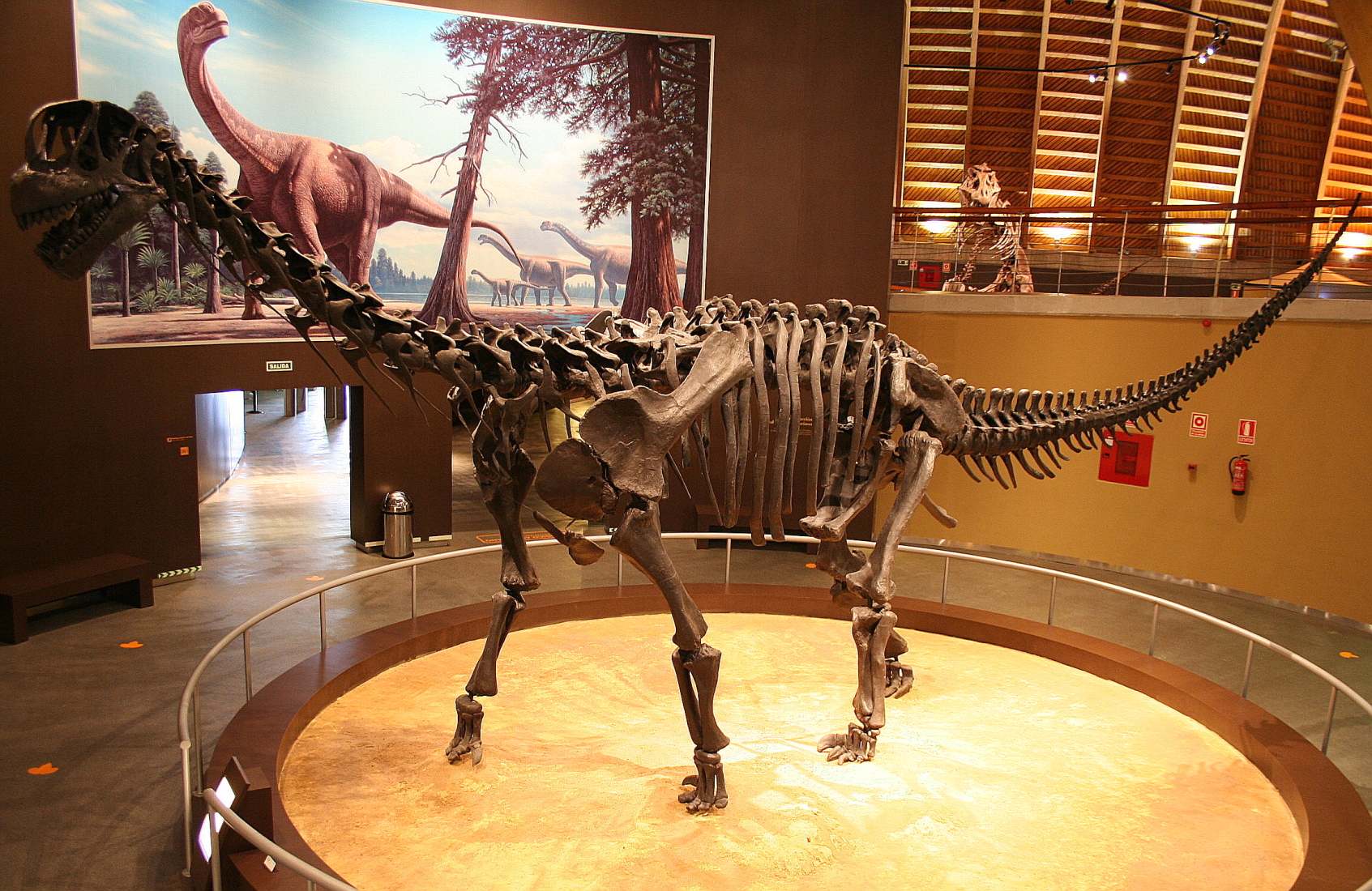 Sauropodomorfos: gigantes del pasado prehistórico