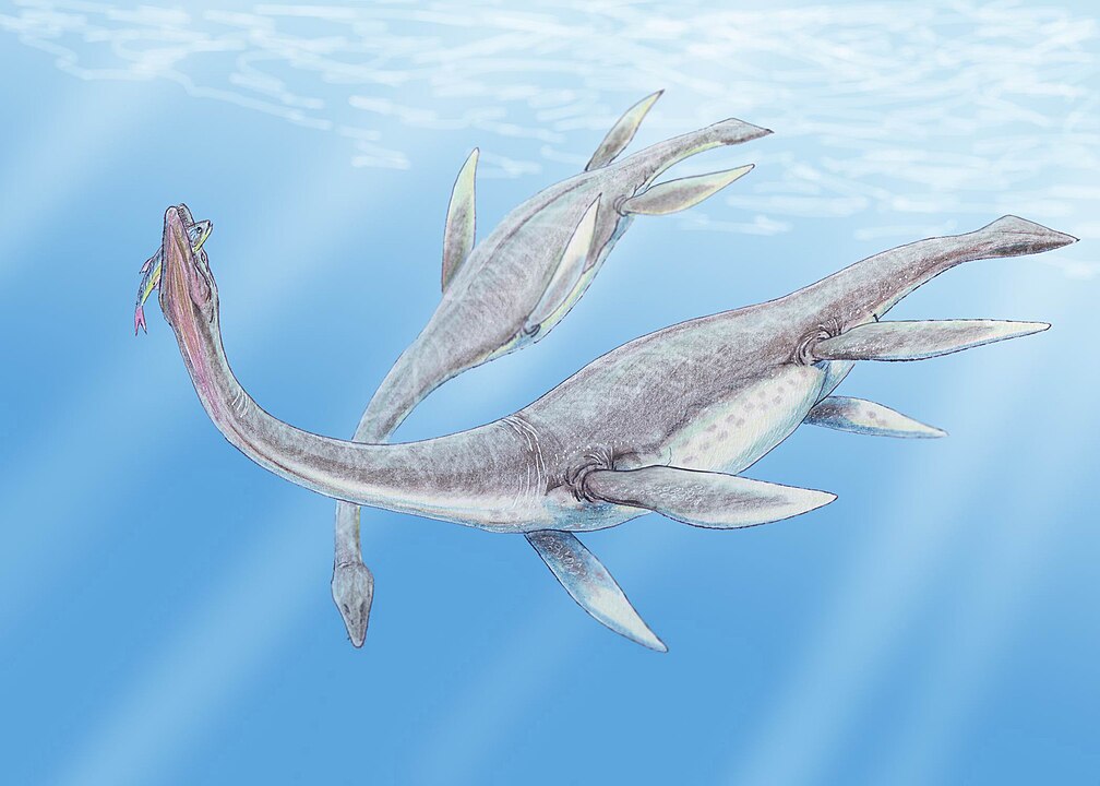 Plesiosaurus: el reptil marino