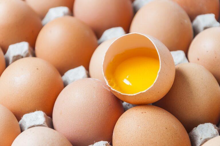 Huevos de gallina Inmunoterapia oral para la alergia al huevo
